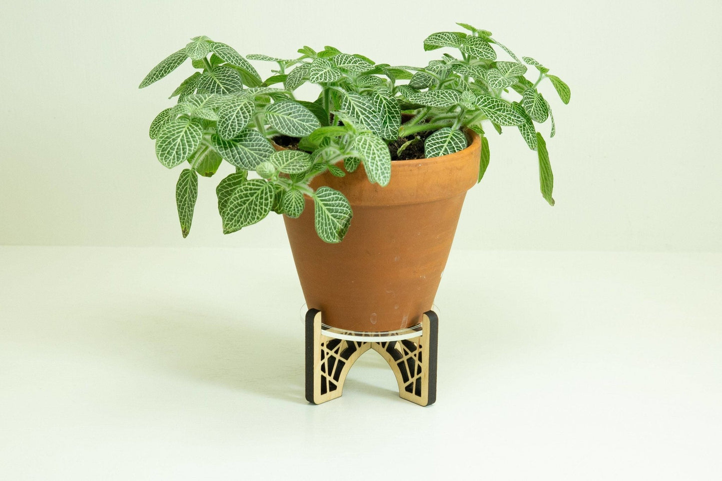 Small plant stand - Happy's Gifts and Apparel