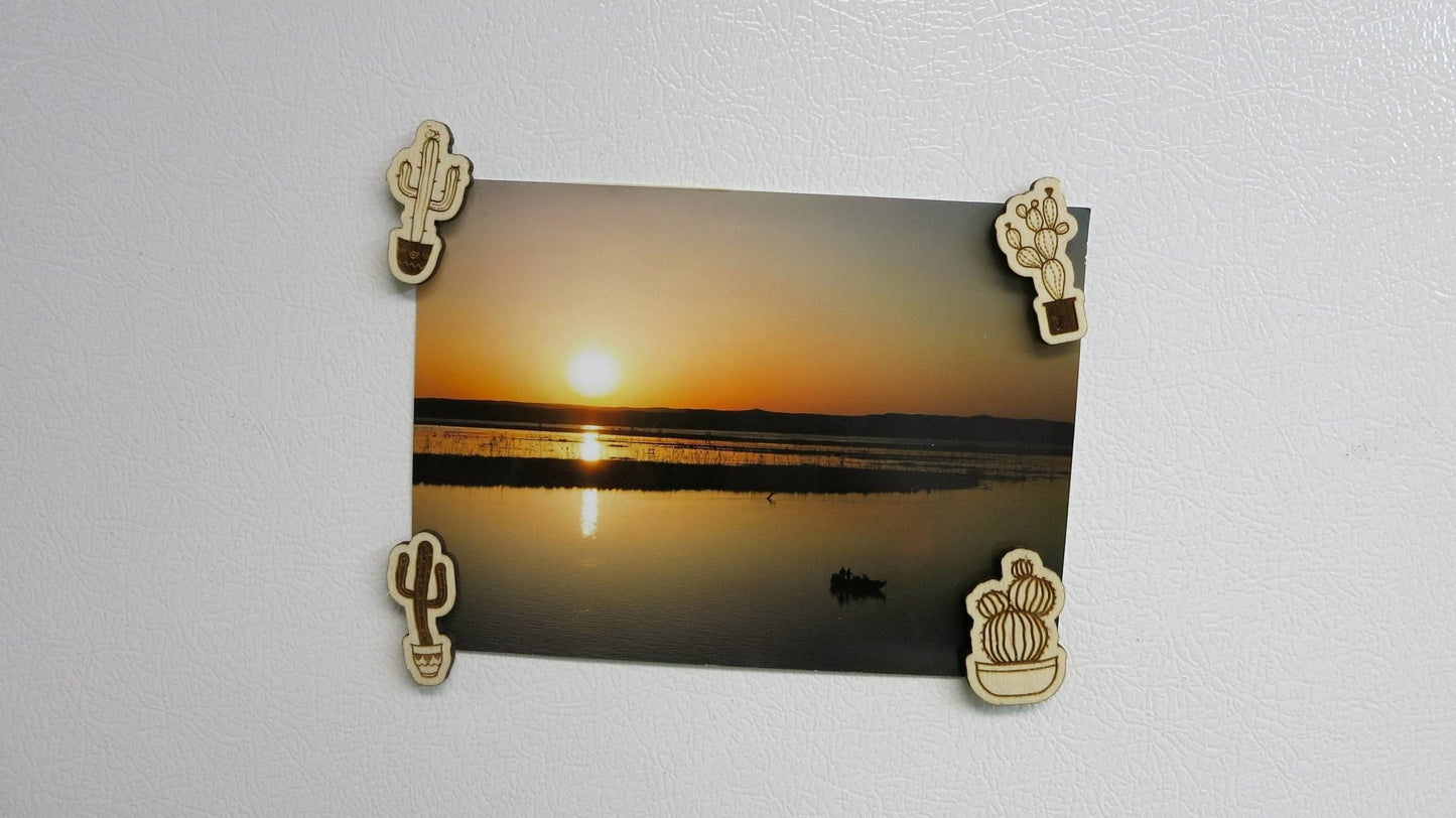 Cactus Magnets - Happy's Gifts and Apparel