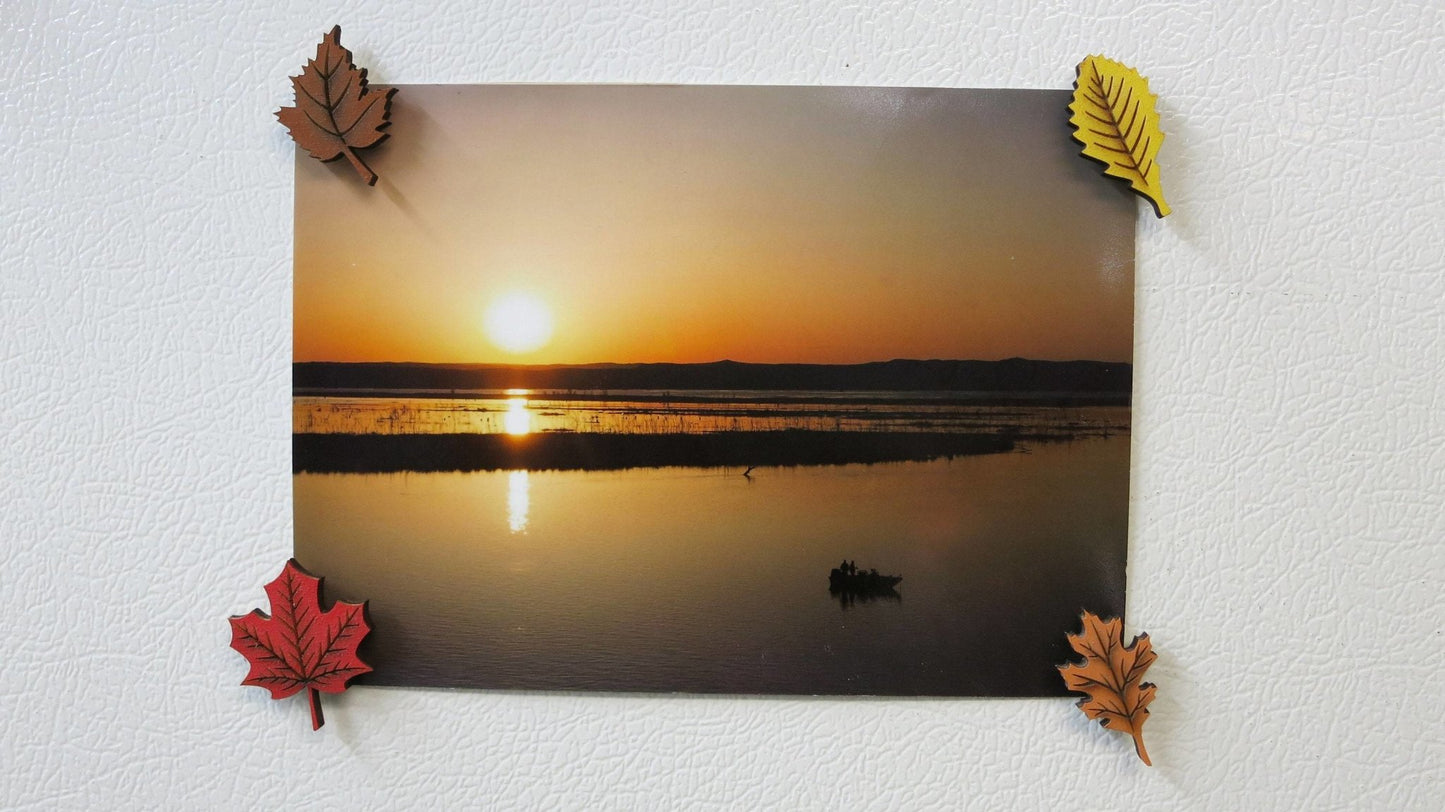 Leaf Magnets - Happy's Gifts and Apparel