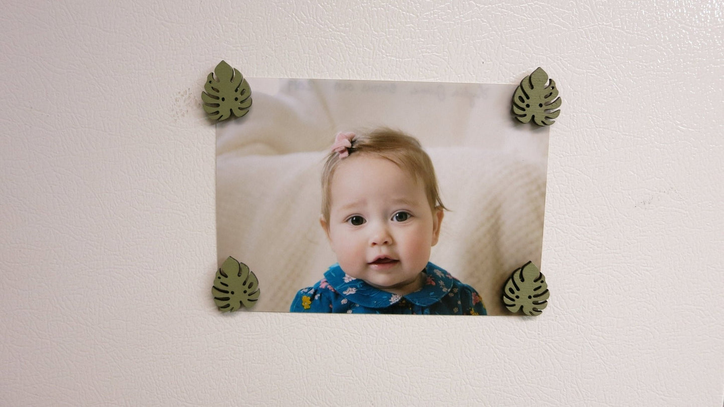 Monstera Leaf Magnets Set - Happy's Gifts and Apparel