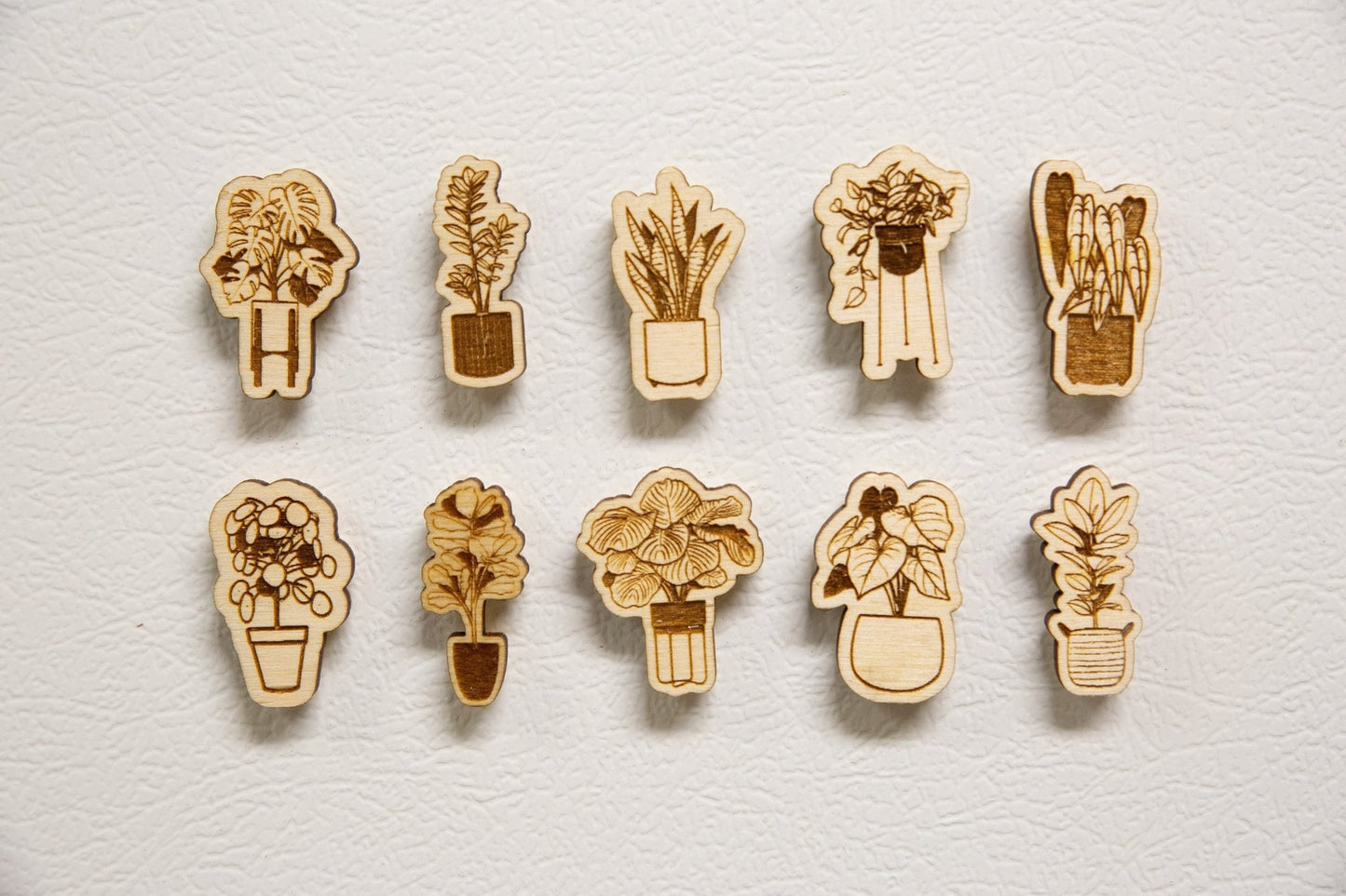 Plant Magnets - Happy's Gifts and Apparel